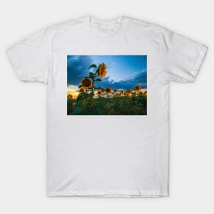 Sunflowers T-Shirt